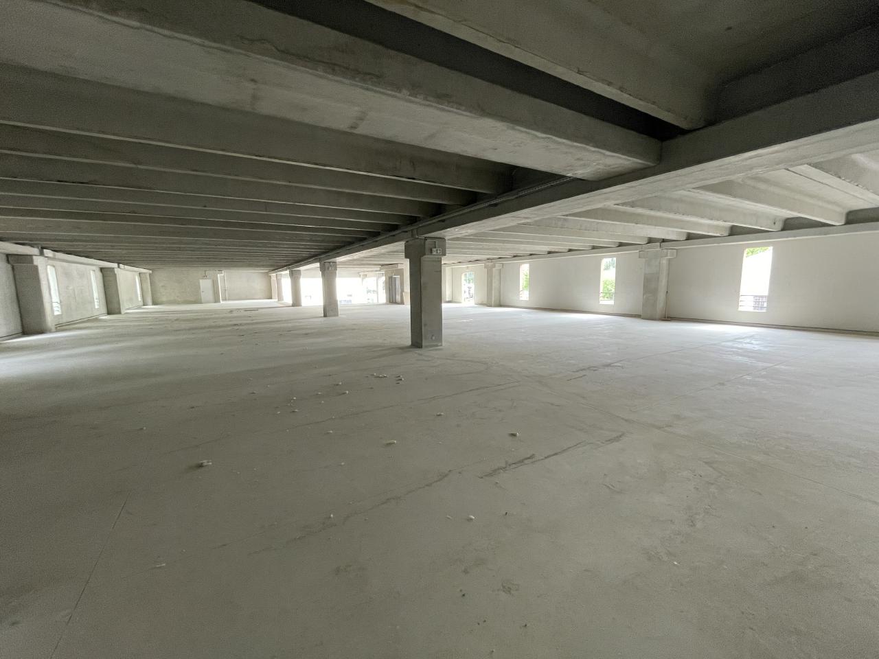 Local d'activité Mougins 2455m² Location local d'activité Mougins Alpes-Maritimes OLACT2315824 10